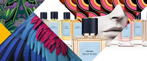 ohrenwärmer prada|Fragrances Olfactories .